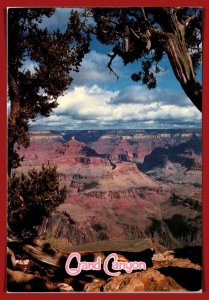 Arizona,  Grand Canyon - Scenic View - [AZ-462X]