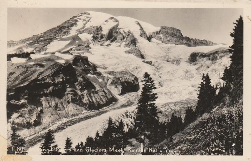 RPPC Where Flowers and Glaciers Meet - Mount Rainier WA, Washington