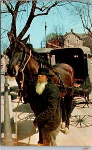 Ohio Amish Country Amish Man With Horse and Wagon In Front Of General Store