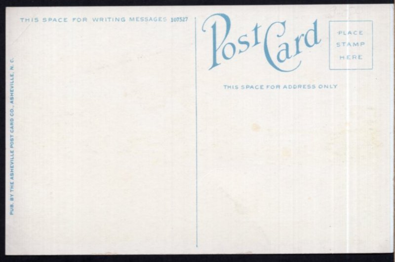 Florida MIAMI Royal Palm Hotel and Grounds - White Border