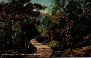 Scotland Trossachs Where Twines The Path