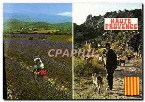 Postcard Modern Haute Provence Shepherd Dog Folklore