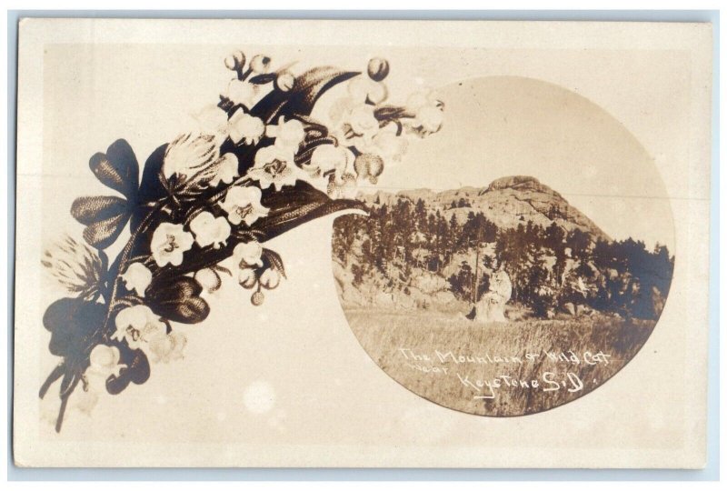 The Mountain & Wild Cat Near Keystone South Dakota SD Flower RPPC Photo Postcard