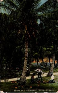 Cleaning coconuts FL African Americans sunset c1910 vtg postcard
