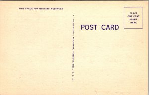 Greetings from Jeanette PA sheep herd Postcard