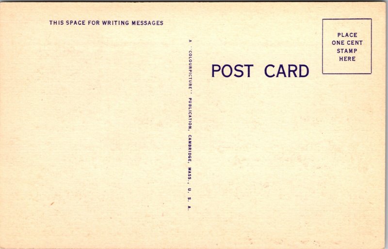 Greetings from Jeanette PA sheep herd Postcard