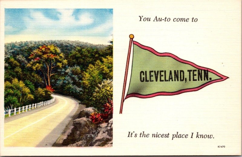 Scenic Road, You Au-to Come to Cleveland TN Vintage Postcard F30
