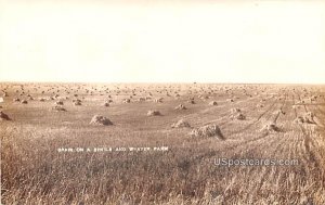 Grain on a Sheils and Weaver Farm - Edgeley, North Dakota ND Postcard
