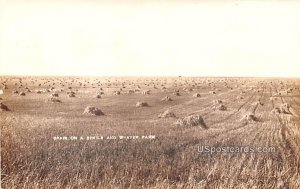 Grain on a Sheils and Weaver Farm in Edgeley, North Dakota