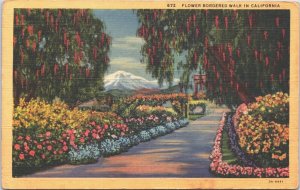 USA Flower Bordered Walk In California Linen Postcard 09.46