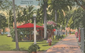 VINTAGE POSTCARD THE GROUNDS AT THE MYRTLE BANK HOTEL KINGSTON JAMAICA 1954