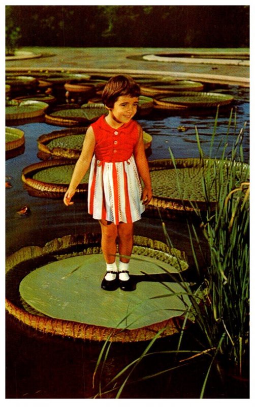 Pennyslvania  kennett Square Longwood Gardens , Child on Water Lily