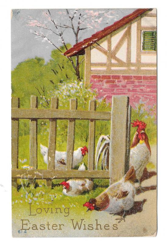 Easter Wishes Rooster Hens Fenced Yard Vintage Embossed Postcard Posted 1911