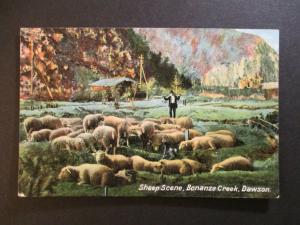 Mint Vintage Sheep Scene Bonanza Creek Dawson Alaska Real Picture Postcard