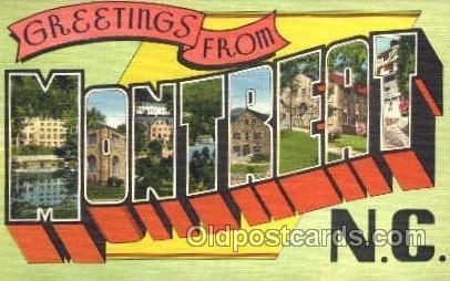 Greetings From Montreat, North Carolina, USA Large Letter Town Unused 