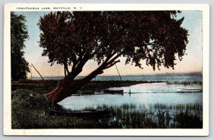 Chautauqua Lake Mayville New York NY River Boat And Park Trees View Postcard