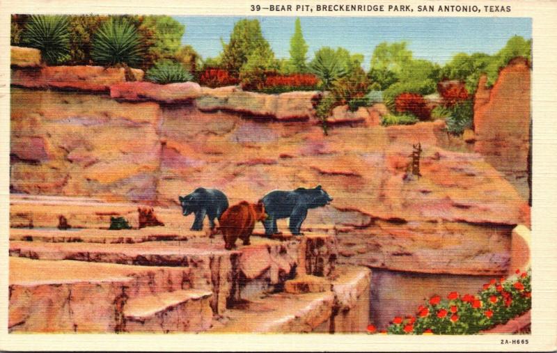 Texas San Antonio Breckenridge Park Bear Pit 1945 Curteich