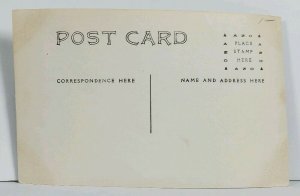 RPPC Town View Barns Man Oxen Large Homes Bridge c1907 Postcard M14