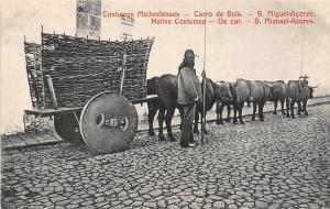 Ox Cart Folk Dress St Michael Azores Portugal postcard