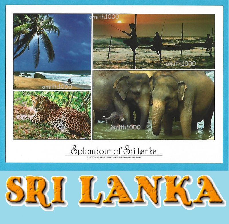 SRI LANKA NATURE - ELEPHANTS / LEOPARD / BEACH - MAIL CARD FROM SRI LANKA