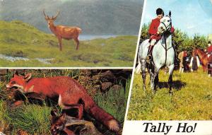 uk35598 tally ho uk lot 2 uk deer horse fox hunting hunt sport