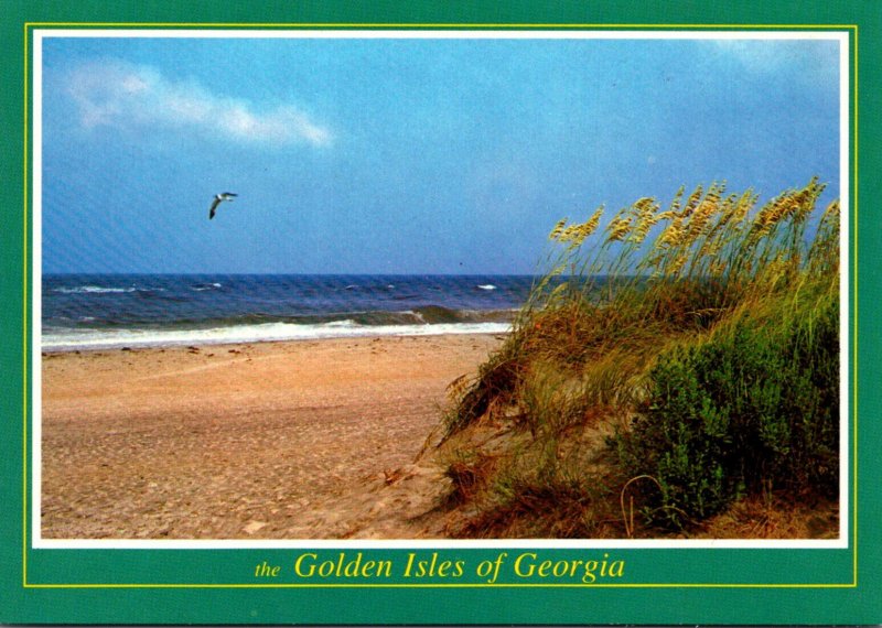 Georgia Golden Isles Scenery Along The Shoreline