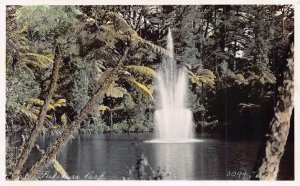 PUKEKURA PARK~1960s TEED PHOTO POSTCARD