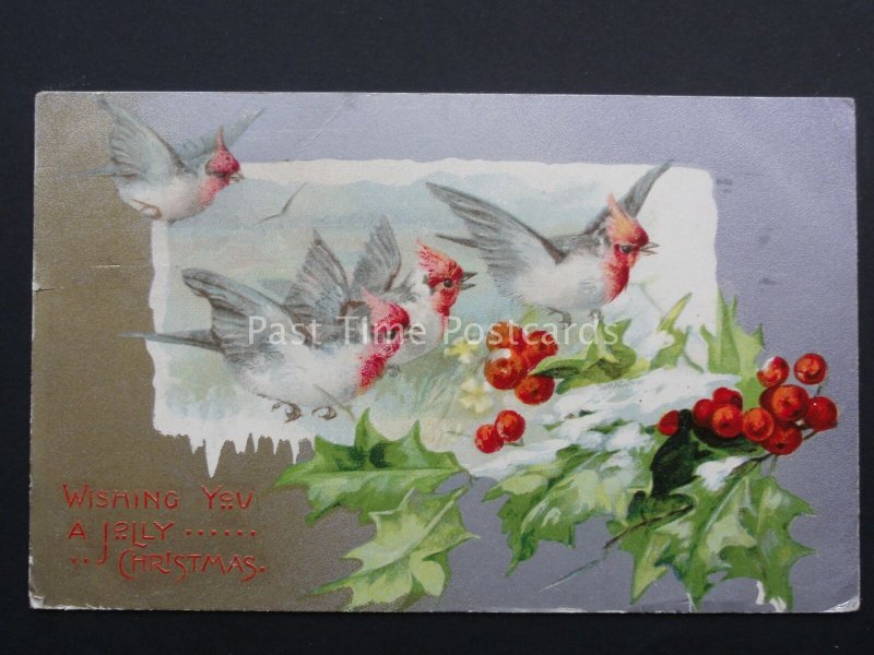Christmas Greeting BIRDS & HOLLY c1906 Silvered Postcard by Wildt & Kray 765