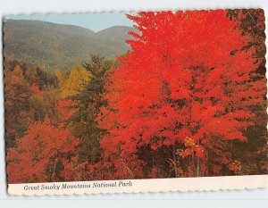 Postcard Great Smoky Mountains National Park, Tennessee