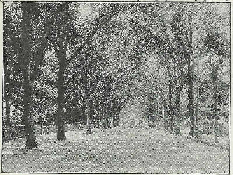 2) 1900s postcards of Washington Street, Whitman, Mass.