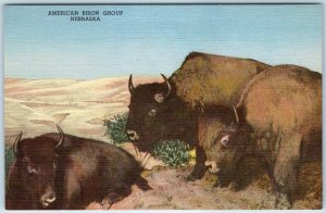 1947 Hastings, Neb. House of Yesterday Museum Bison Buffalo Plains UNP PC A249