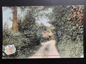 Hampshire - FORDINGBRIDGE Bowerwood Lane c1906 by The Milton Series 3750