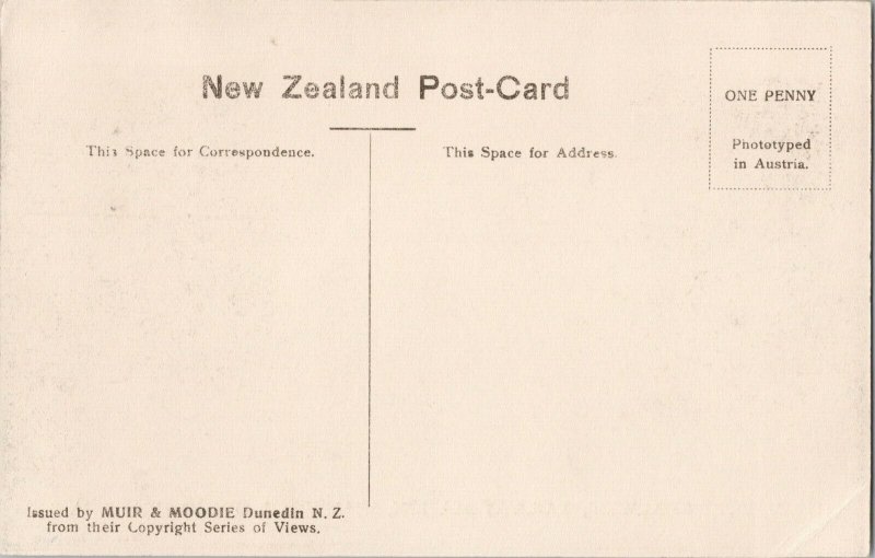 Port Chalmers Railway Station Wharves & Otago Heads NZ New Zealand Postcard G27