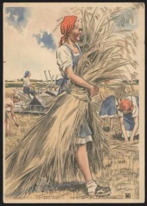 Germany WWII Frauen Schaffen fuer Euch Postcard Harvest Girl UNUSED 106160