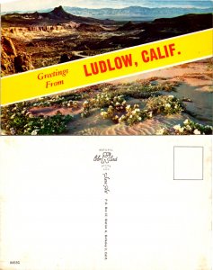 Greetings from Ludlow, Calif. (11122)