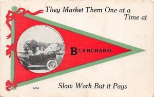 Michigan Mi PENNANT Postcard 1914 BLANCHARD Market Them One At A Time