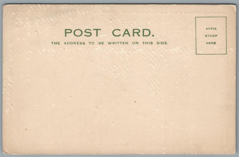 BICYCLE CIRCUS THE BROCKS CRAZY CYCLISTS ANTIQUE POSTCARD