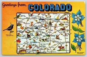 State Map~Greetings From Colorado~Flowers~Lark Bunting~Creede~Leadville~1950s PC