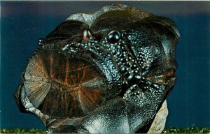 Geothite Ishpeming Michigan MI Card 43 Postcard