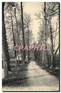 Old Postcard Bords du Loiret Landscape taken Moulin des Bechets