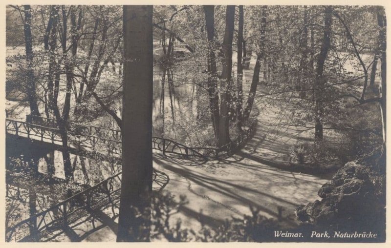 Weimer Park Germany Naturbrucke Old German WW2 Postcard