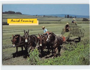 Postcard Amish farming Pennsylvania USA