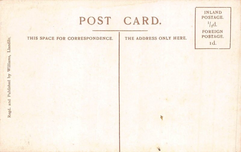 L247 Wales View from Crescent Road Llandilo vintage postcard