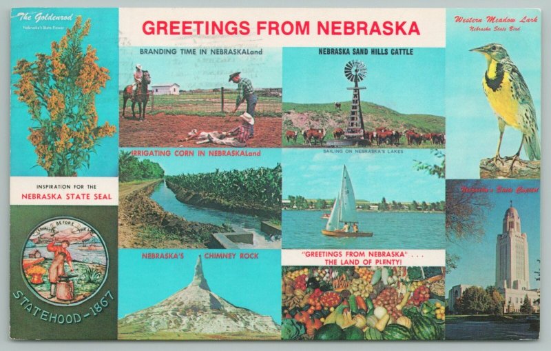 Nebraska~Map Of Beef State~Cornhusker State~Vintage Postcard 