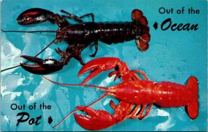 Greetings From State Maine ME Lobsters Postcard VTG UNP Tichnor Vintage Unused 