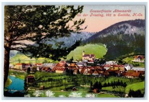 c1910 Summer freshness Old Market on the Triesting Austria Antique Postcard