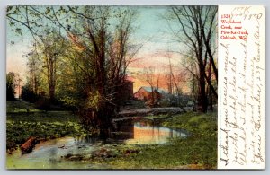 Oshkosh Wisconsin~Weyerhorst Creek @ Paw-Ka-Tuck~Vintage Postcard