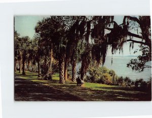 Postcard Indian River Drive, Cocoa, Florida