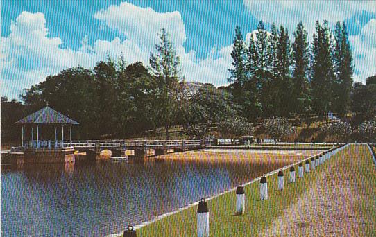 Singapore Pierce Reservoir