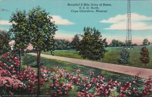 Missouri Cape Girardeau Beautiful 8 Mile Drive Of Roses U S Highway 61 North ...